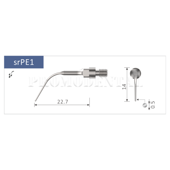 33-srPE1-srPE1