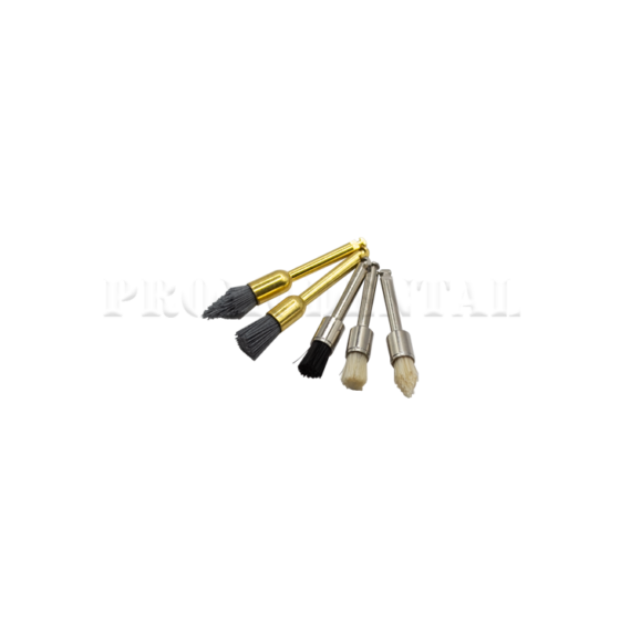 TA024-Brush