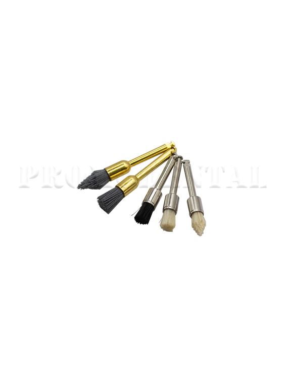 TA024-Brush.png