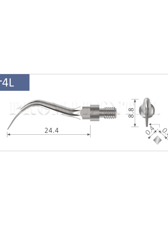 33-SR4L-sr4L.png