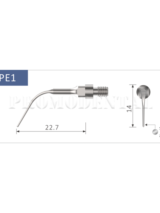 33-srPE1-srPE1.png