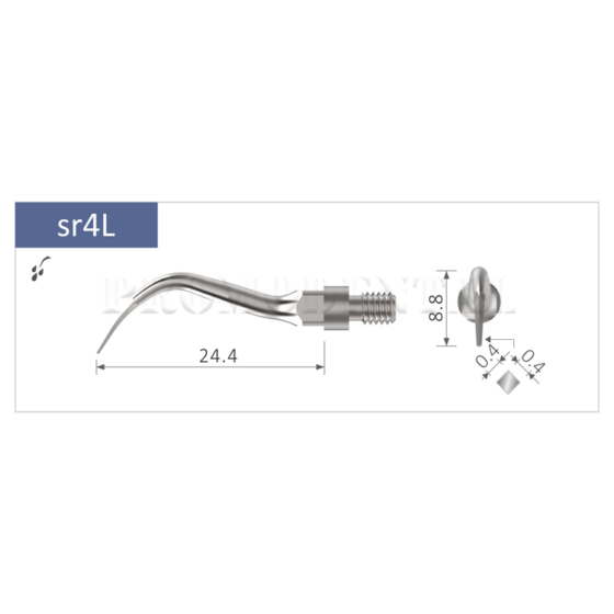 33-SR4L-sr4L