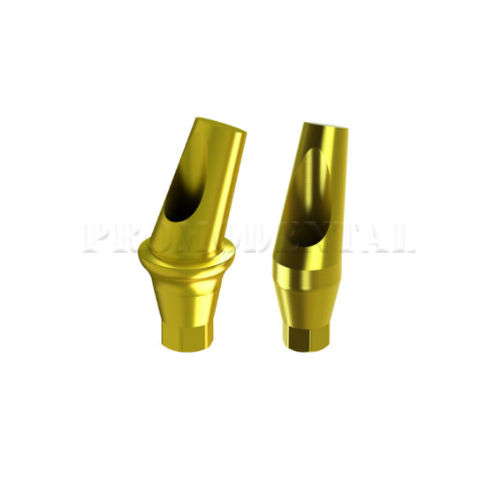 pilier-anatomique-angule-25