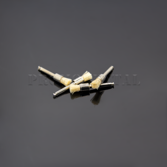 0-Prophy_brush_Flat-Brosse-a-polir-Plate