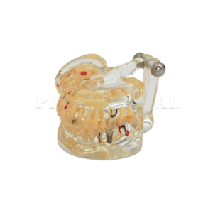 1-171-A0016-171-A0016-2