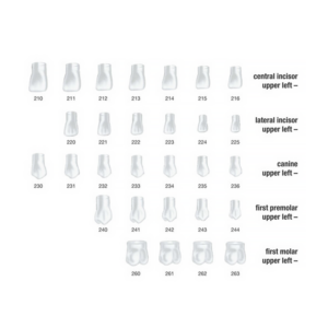 2-130-ST-5K-Frasaco-Couronnes-strip-2