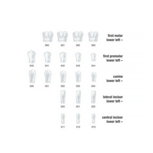 3-130-ST-5K-Frasaco-Couronnes-strip-3