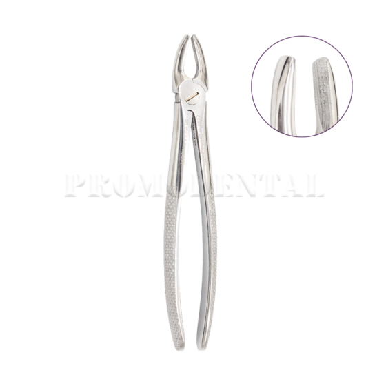 31-ED-050-002-31-ED-050-002P