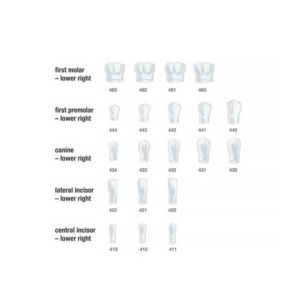 4-130-ST-5K-Frasaco-Couronnes-strip-4