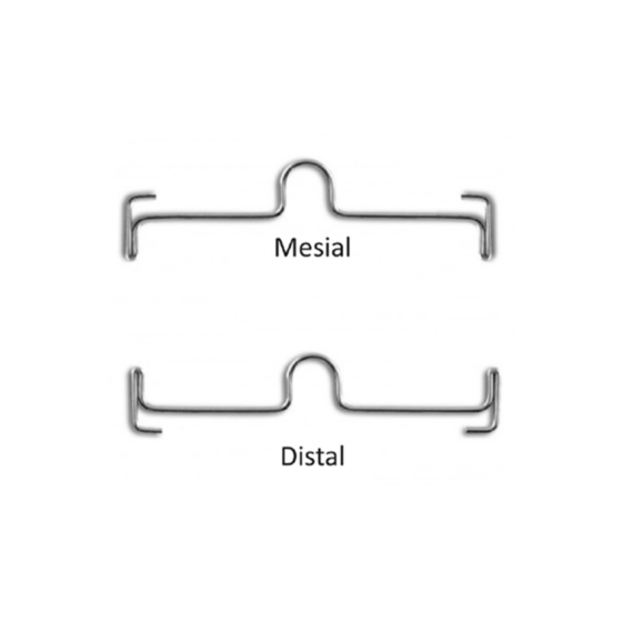 506-PALBR-Arcs-transpalatins